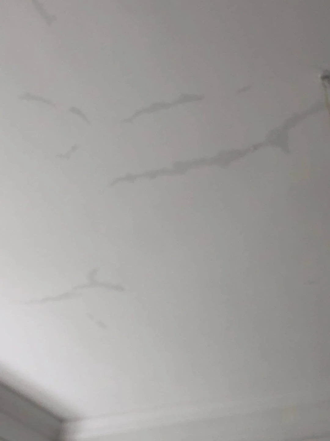 墙砖坏了怎么办视频(墙砖坏了怎么补救方法) 墙砖坏了怎么办视频(墙砖坏了怎么补救方法)